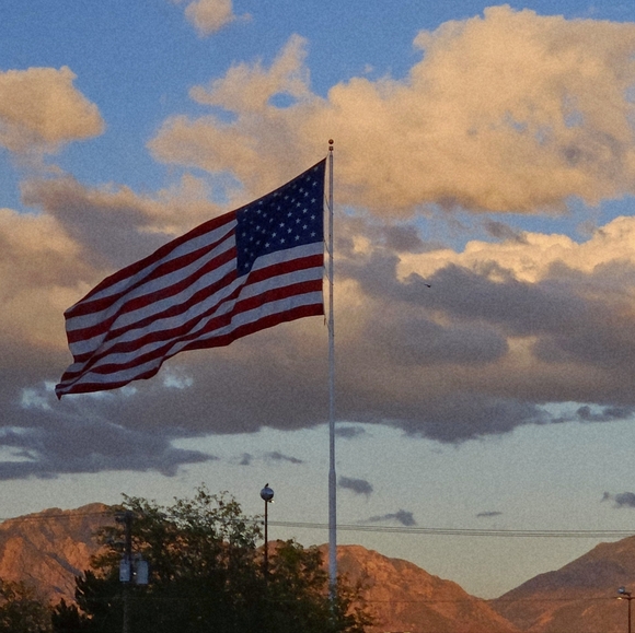 Meet your Posher, Jill - Picture 1 of 1